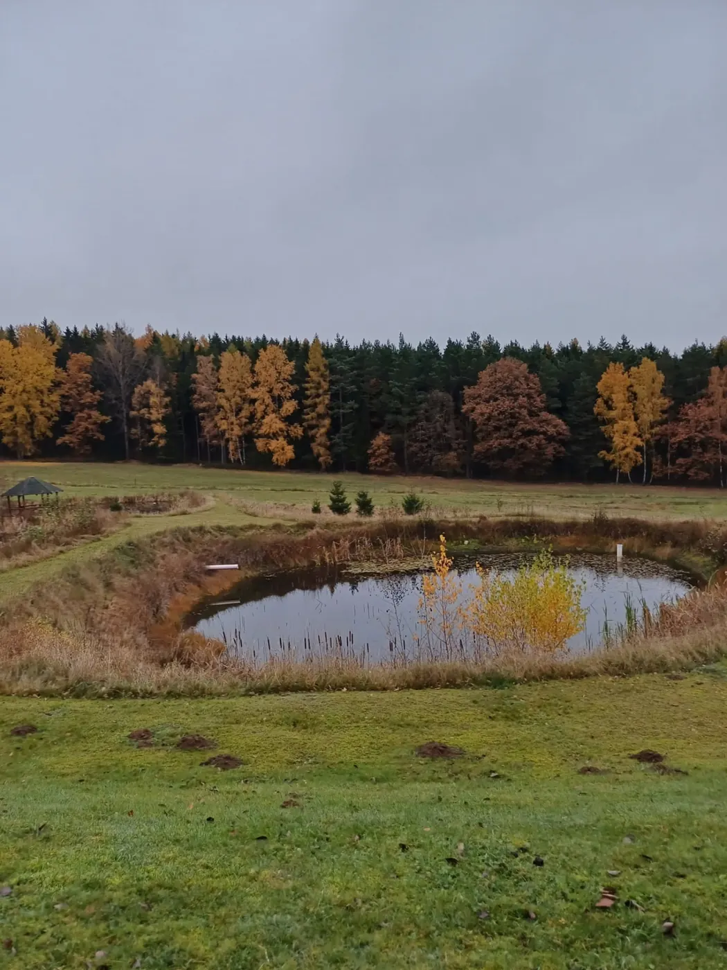Rybník a louka u retreat centra